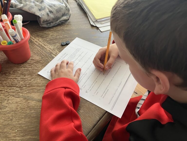 Our 5th Grade Homeschool Curriculum Picks for a Child With Severe Dyslexia